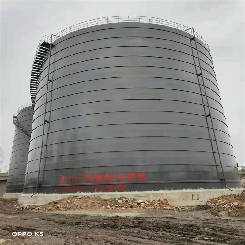 白朗3万吨大型钢板库